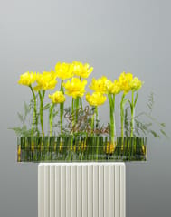 Eid Special Gift Box - Tulip Yellow Acrylic Tray