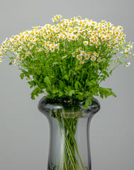Get Well Soon Flower Vase