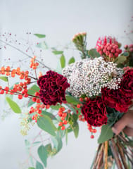 Carnation Maroon Bouquet