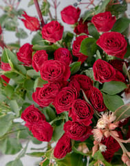 Hibiscus Red Bouquet