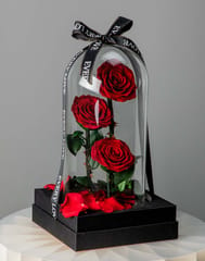 Forever Red Rose