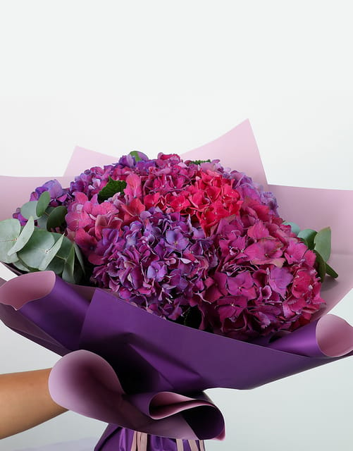 Mix Purple Hydrangea