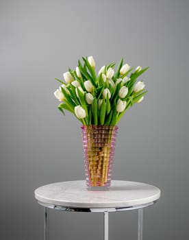White Tulip in Vase