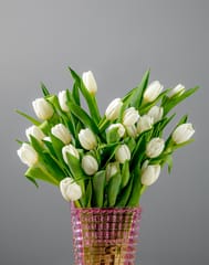 White Tulip in Vase