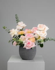 Rose O'Hara White In Vase