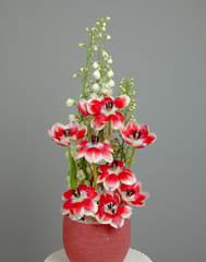 Tulip Timeless Vase