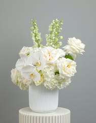 Phalaenopsis Flower Vase