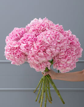Light Pink Hydrangea Bouquet