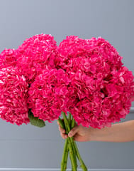 Fuschia Pink Hydrangea Bouquet