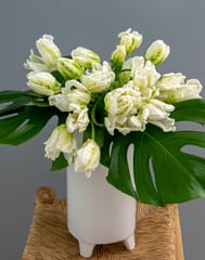 Tulip White Vase