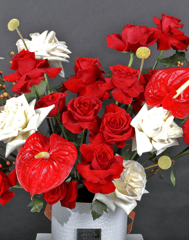 Valentines Day - Cherished Roses