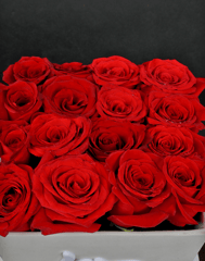 Valentines Day - Rose Love Box
