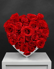 Valentines Day - Romance Roses