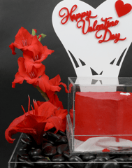 Valentines Day - Amaryllis Cake Tray