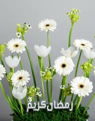 Ramadan Collection - Blossoms Of Faith