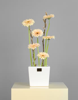 Spring Delight Gerbera Vase